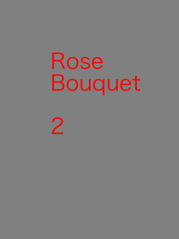 Rose Bouquet (custom) - Image 3